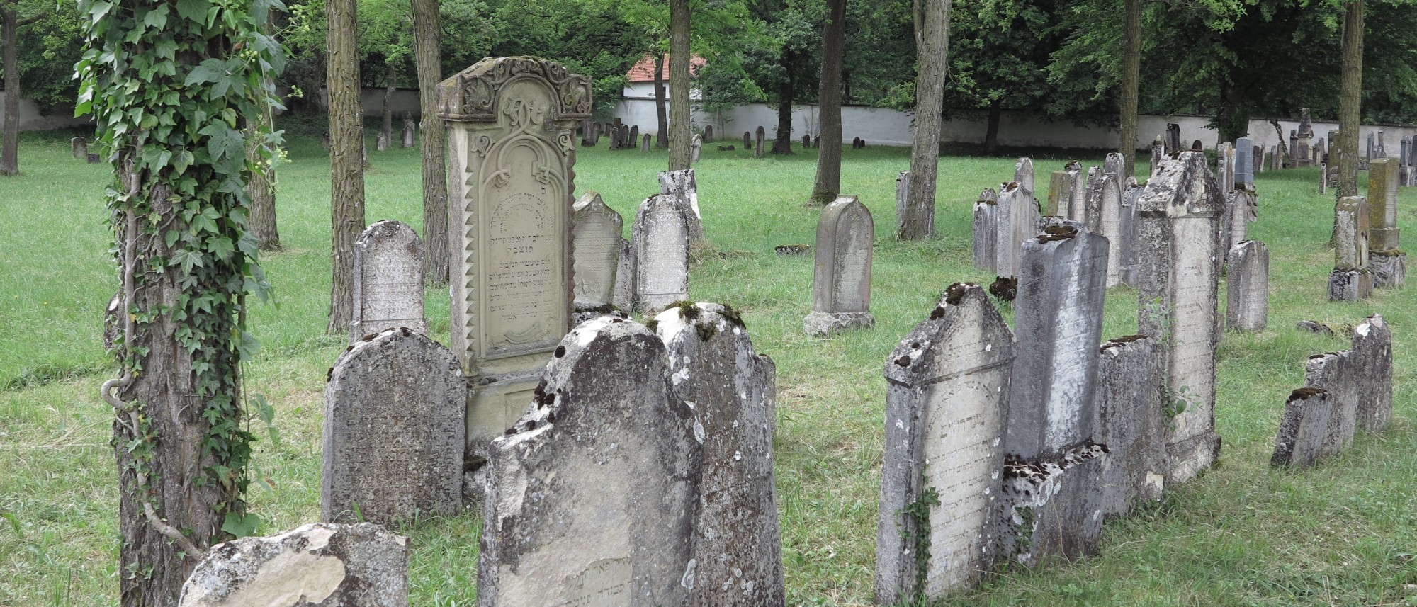 Grabsteine mit hebr&auml;ischen Inschriften auf dem Friedhof in Harburg. F&uuml;hrt zur Unterseite "Harburg".
