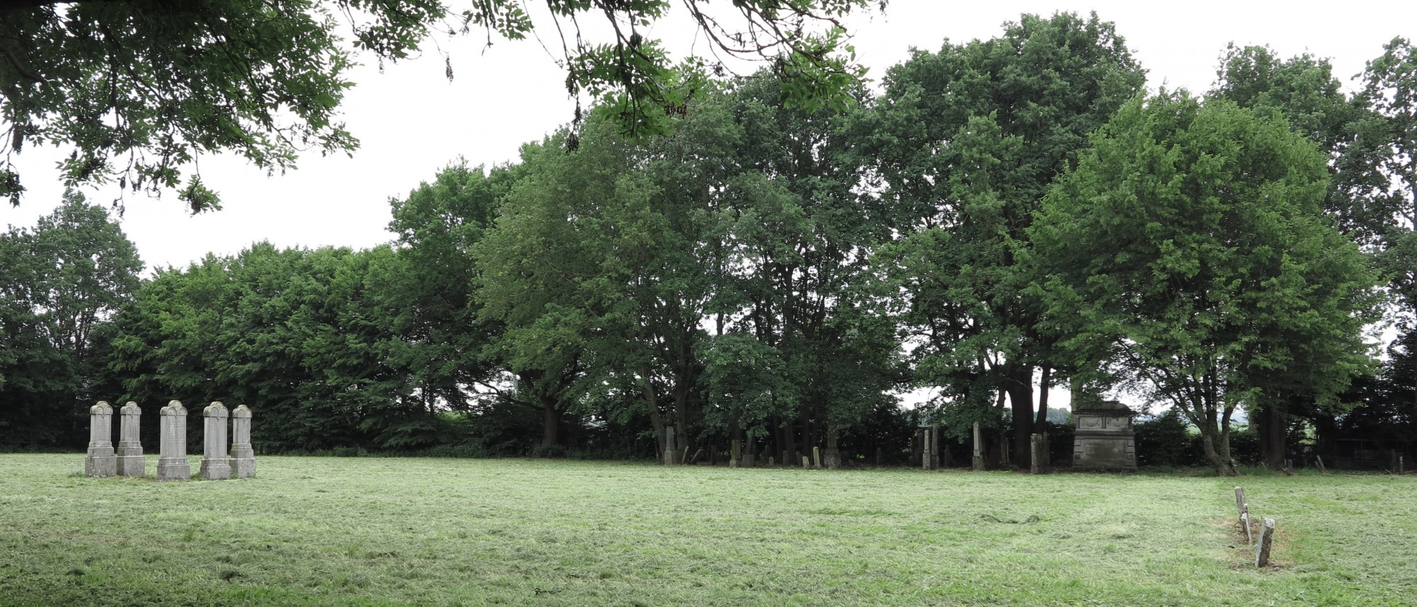 F&uuml;nf Grabsteine von Rabbinern und ihren Angeh&ouml;rigen auf dem Friedhof in Wallerstein. F&uuml;hrt zur Unterseite "Wallerstein".